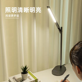 得力LF201_LED台灯(灰色)(1台装/盒)