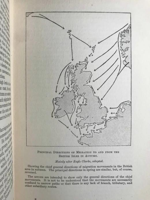 含藏书票！1926年 鸟类迁徙问题 10幅地图 漆布精装大32开 商品图6