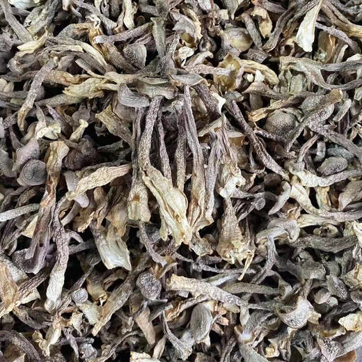 【鹿茸菇】嫰脆爽口 可炒可煲汤 无熏硫新货包邮 商品图5