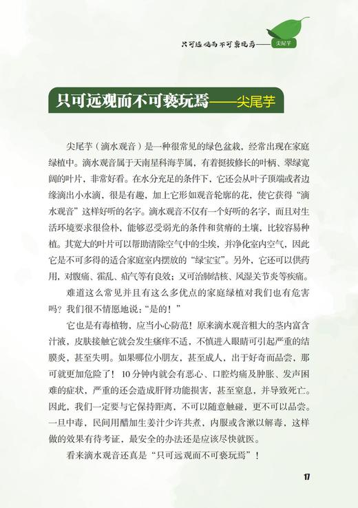 超级危险的植物 1488 商品图4