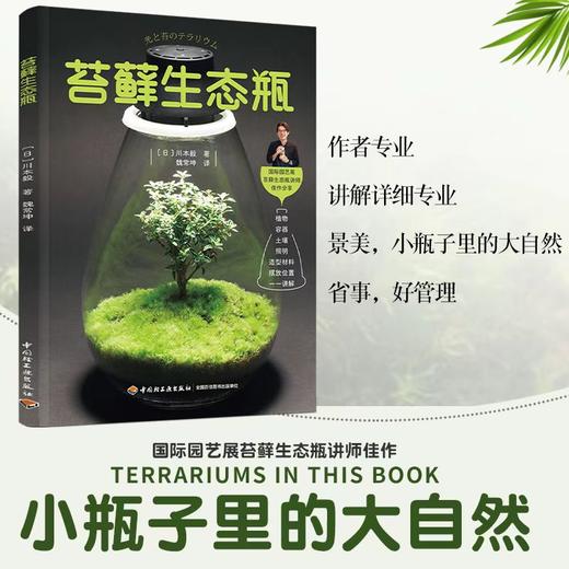 苔藓生态瓶 商品图1