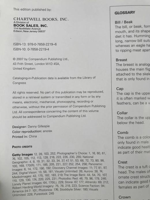 北美鸟类图集 约百幅彩色插图 精装8开 商品图4