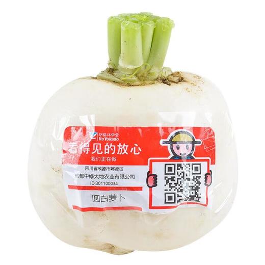 放心圆白萝卜 约400g/份 商品图3
