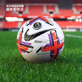 NIKE/耐克 PL NK FLIGHT - FA22 英超比赛足球