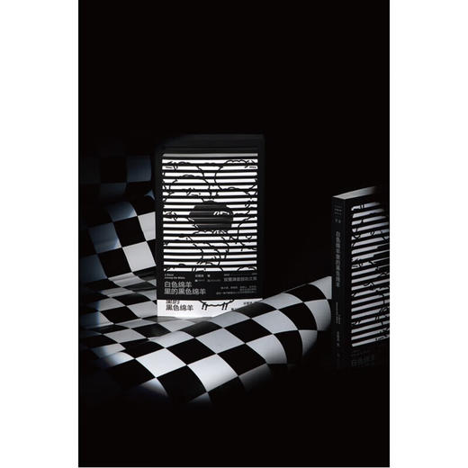 白色绵羊里的黑色绵羊 商品图4