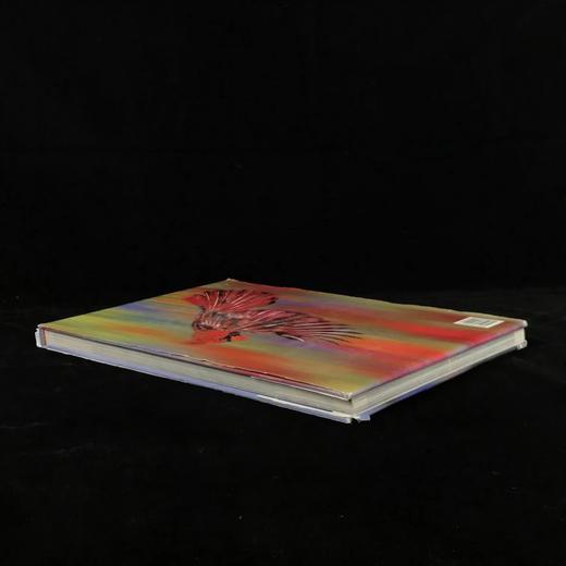 北美鸟类图集 约百幅彩色插图 精装8开 商品图2