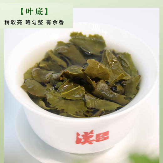 汉合茶叶 茶之梦高端铁观音  兰花香型 特级 210g 商品图1