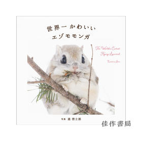 世界一かわいいエゾモモンガ / 世界上可爱的飞行松鼠 The World’s Cutest Flying Squirrel 