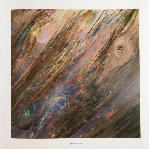 古代微观世界图集 百余幅彩色插图 精装大16开 商品图10