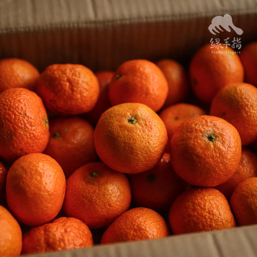 生态砂糖橘  (桂林) | 合作生产 *Sand Sugar Orange | Partner Production 商品图2