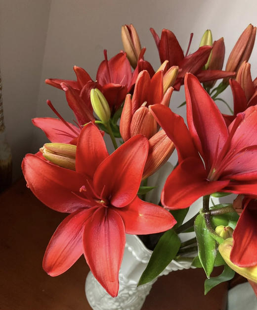 【精品百合】亚百合/红宝石 3头  5枝/扎 商品图5