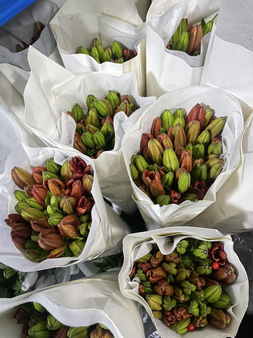 【精品百合】亚百合/红宝石 3头  5枝/扎 商品图9