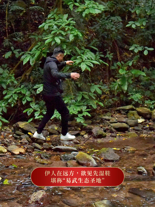 【生肖饼·铜箐河】2023年头春头采，原料树龄再度重磅升级，每年铜箐河都荣获各种荣誉，今年在升级的加持下，定将创造新的传奇，囤茶就要囤有价值的茶 商品图6