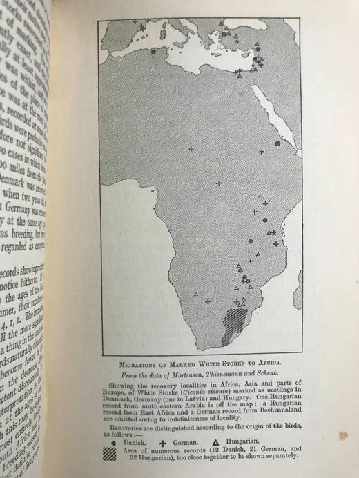 含藏书票！1926年 鸟类迁徙问题 10幅地图 漆布精装大32开 商品图9