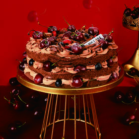 8英寸樱为有厘（停用）