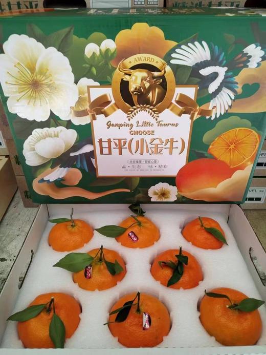 四川甘平小金牛柑橘 商品图0