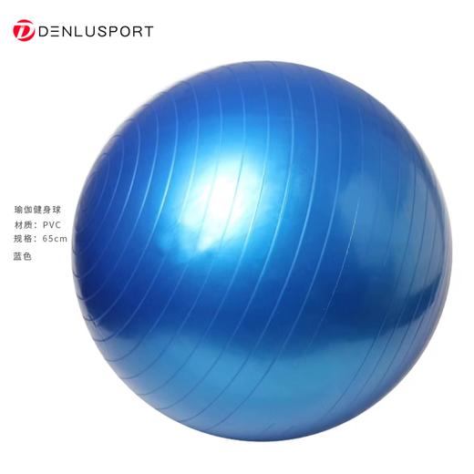 瑜伽健身球65CM加厚防爆磨砂球升级专业瑜伽球多功能形体训练（配打气筒） 商品图3