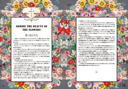 ヨーロッパの図像 花の美術と物語 / 欧洲的象征：艺术中的花朵 Icon of Europe: Flowers in Art  商品图1