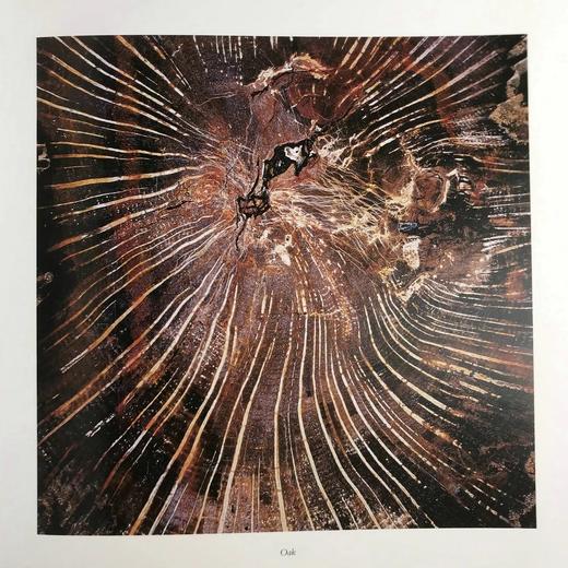 古代微观世界图集 百余幅彩色插图 精装大16开 商品图7