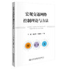 宏观交通网络控制理论与方法 商品缩略图0