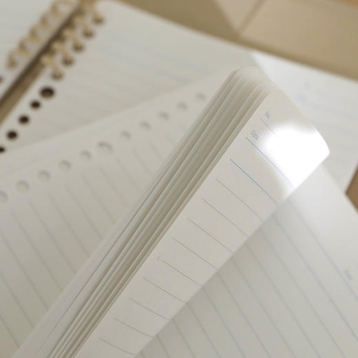 【限时秒杀】国誉(KOKUYO)一米新纯B5活页本办公笔记本子活页纸可替换附索引页 40张 商品图3