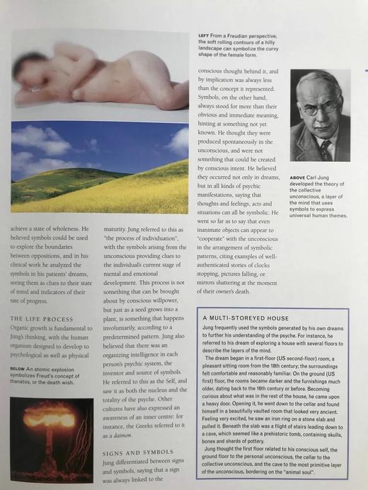 标志与符号图解百科全书 数百幅彩色插图 精装大16开 商品图11