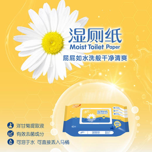清风 湿厕纸 4包 抽取式 纸巾 富含洋甘菊成份 天然 无刺激 家庭实惠装 新老包装随机发货 包邮 商品图1