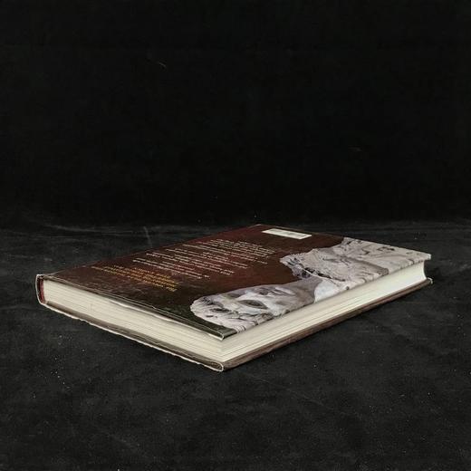 罗马帝王的故事 150余幅彩色插图 精装16开 商品图2