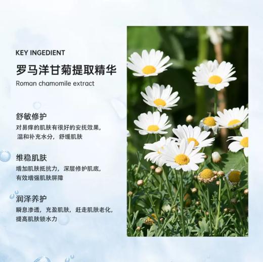 【442元会员福利】暖树·玫瑰纯露100ml*2瓶
 商品图14