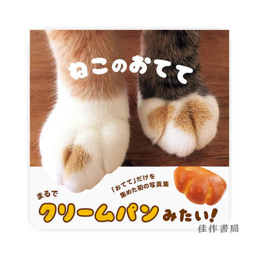 Cat Hands ねこのおてて / 猫爪 商品图0
