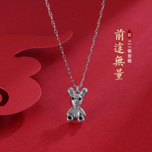 子佩集S925银【前途无量】套链项链【V04598】2301 商品图0