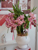 优雅垂兰 · 年宵盆栽（含花瓶） 商品缩略图0