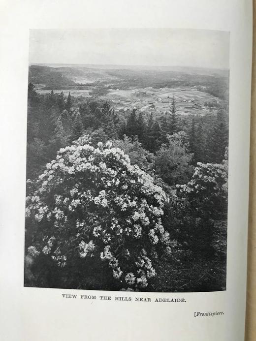 约20世纪早期 澳大利亚风物志 32幅插图 漆布精装32开 商品图5