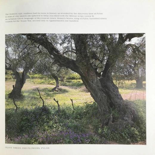 希腊世界图集 129幅插图 精装大16开 商品图13