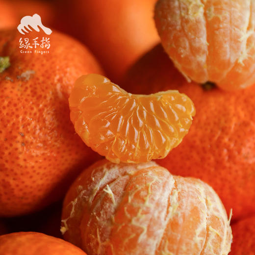 生态砂糖橘  (桂林) | 合作生产 *Sand Sugar Orange | Partner Production 商品图0