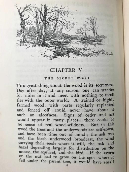 含藏书票！1904年 地球的魅力 14幅插图 漆布精装32开 商品图12