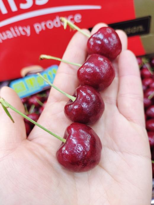 misso10斤车厘子一箱（拼团） 商品图3