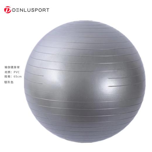 瑜伽健身球65CM加厚防爆磨砂球升级专业瑜伽球多功能形体训练（配打气筒） 商品图1