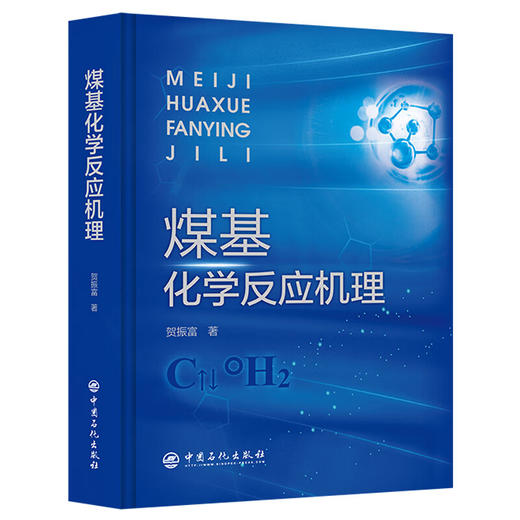 煤基化学反应机理 商品图0