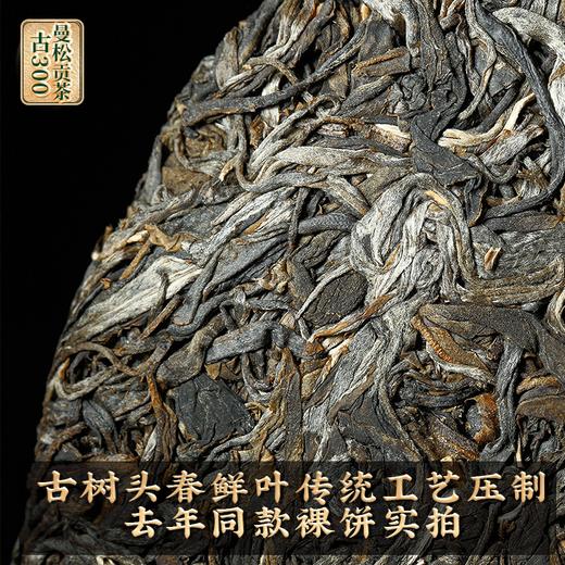 2023春茶 吉顺号古300曼松古树茶普洱茶生茶饼357克/饼 商品图1