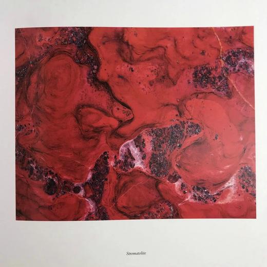 古代微观世界图集 百余幅彩色插图 精装大16开 商品图6