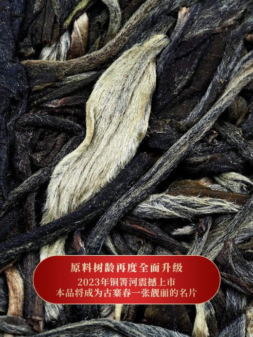 【生肖饼·铜箐河】2023年头春头采，原料树龄再度重磅升级，每年铜箐河都荣获各种荣誉，今年在升级的加持下，定将创造新的传奇，囤茶就要囤有价值的茶 商品图7