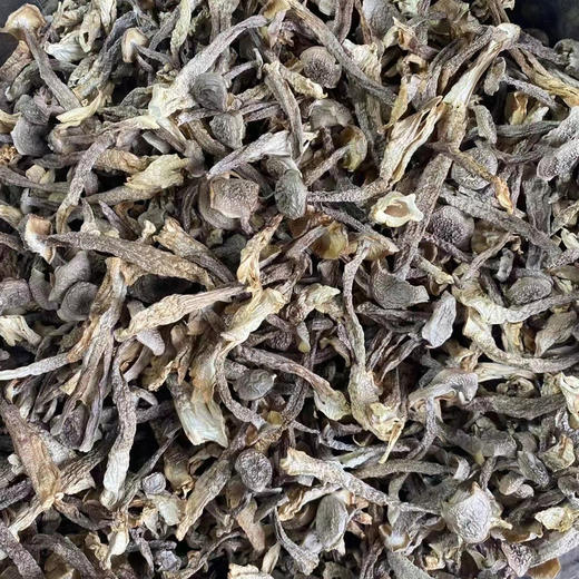 【鹿茸菇】嫰脆爽口 可炒可煲汤 无熏硫新货包邮 商品图6