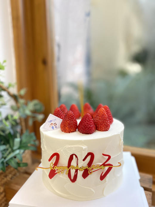 新年奶油蛋糕 下单前请仔细阅读商品详情 商品图0