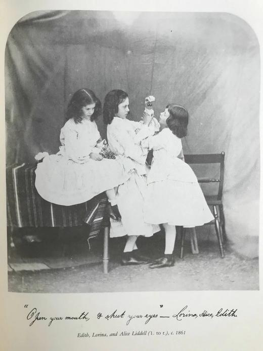 刘易斯·卡罗尔未发表照片、绘画、诗歌与随笔集 约百幅插图 精装16开 商品图10