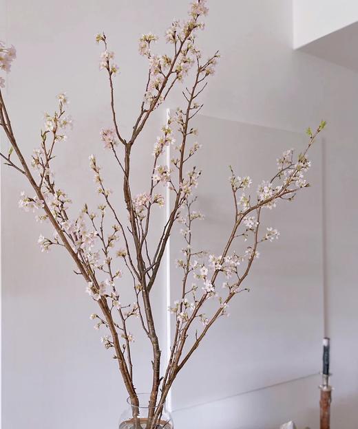 【记忆中的樱花】进口日本樱花  粉色 单枝 商品图2