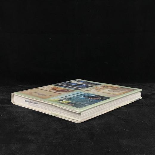 新十八世纪风格 数百幅彩色插图 精装大16开 商品图2