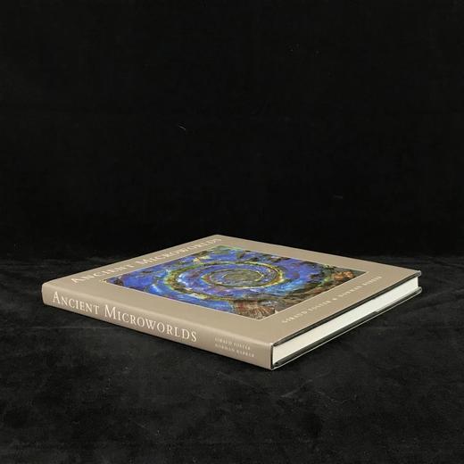 古代微观世界图集 百余幅彩色插图 精装大16开 商品图1