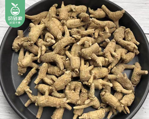 【预售-12月29日配送】吉林花旗参礼盒（整枝原丛）/1盒（约200g）生产日期：25年12月 商品图1