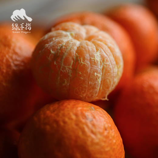生态砂糖橘  (桂林) | 合作生产 *Sand Sugar Orange | Partner Production 商品图3